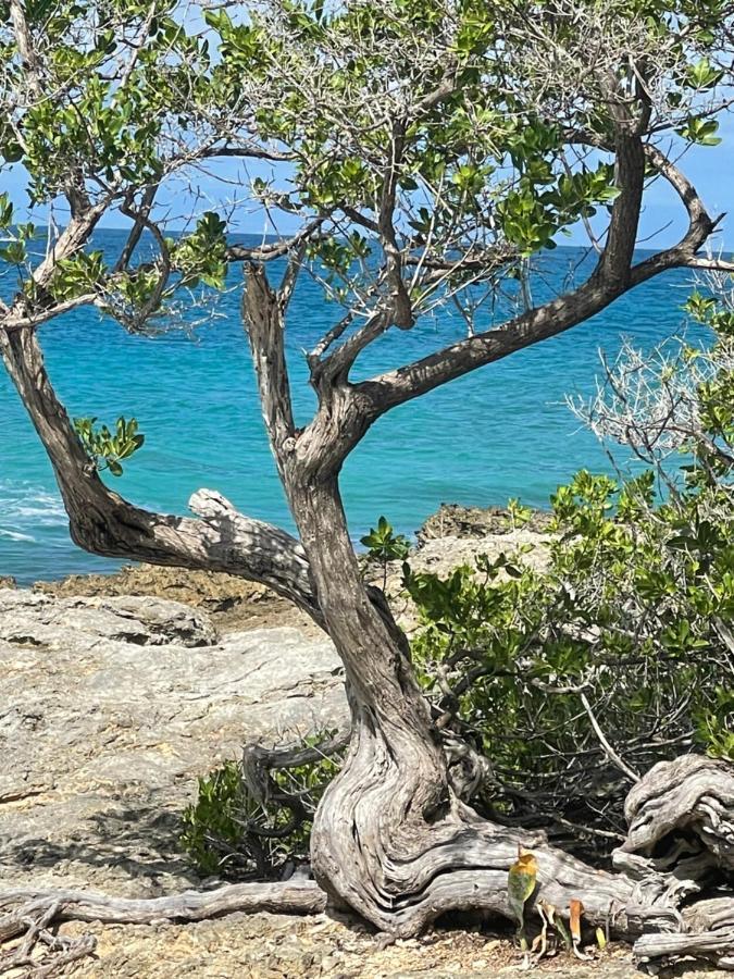 Cote Plage Saint-Francois  Buitenkant foto